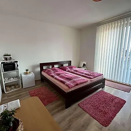 U Medveda Rokytnice v Orlických Horách