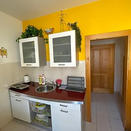 U Medveda * Rokytnice v Orlických Horách
